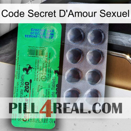 Sex Love Secret Code new04